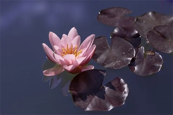 信息管理与信息系统论文