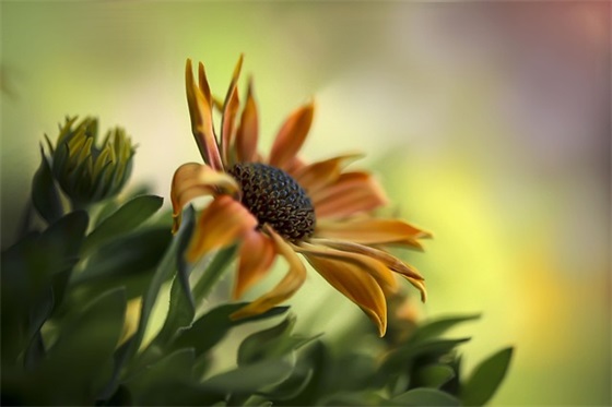 节能减排措施方案