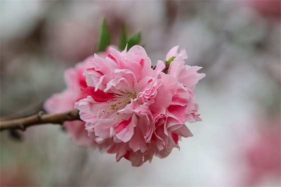 器乐比赛评分标准