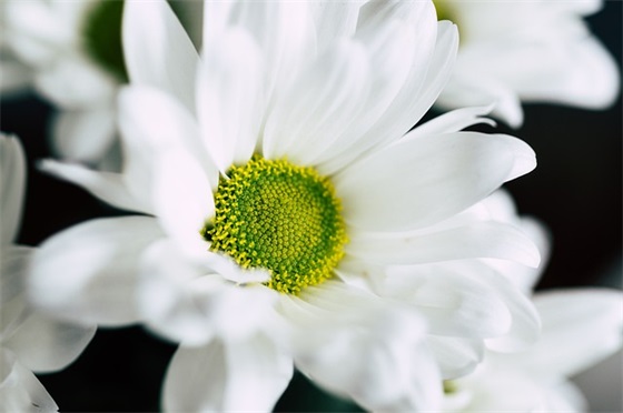 本科护理毕业论文