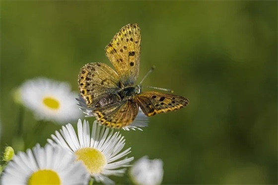 五一活动广告语