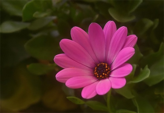 读书报告的正确格式范文(汇总37篇)