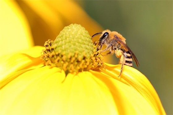 案件反映情况的范文精选16篇