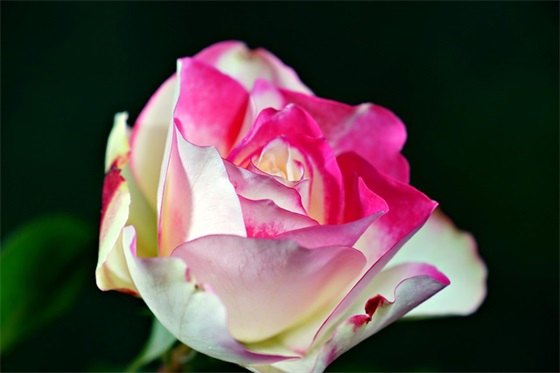 祭文最好的范文(合集22篇)