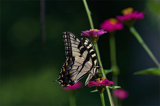 落实工作措施范文(通用19篇)