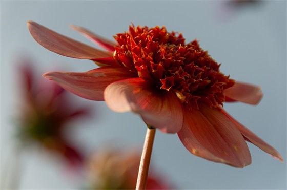 2020年陕西中考满分作文及点评(通用29篇)