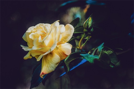 新闻采访提纲的范文和格式(实用18篇)