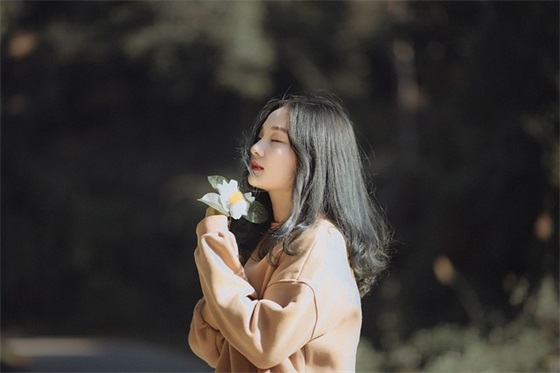 高职高考作文范文(优选十九篇)