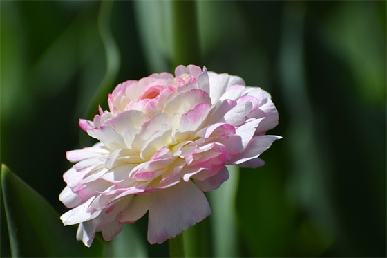 农村低保公示范文(优选十篇)