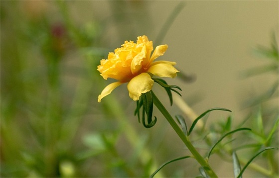 招商广告范文(优选九篇)