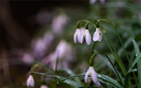 人物专访稿范文(推荐十四篇)