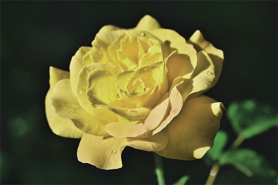 日记的格式写法范文推荐26篇