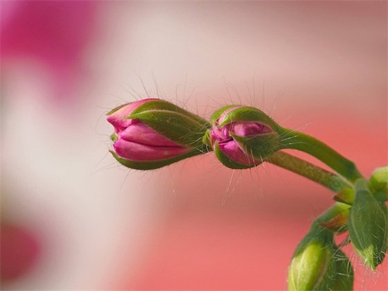会计毕业论文范文大全(推荐五篇)