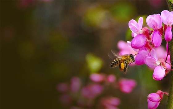 个人求职信范文