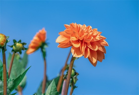 应聘教师个人简历14篇