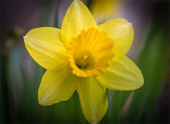 学生个人自我评价15篇