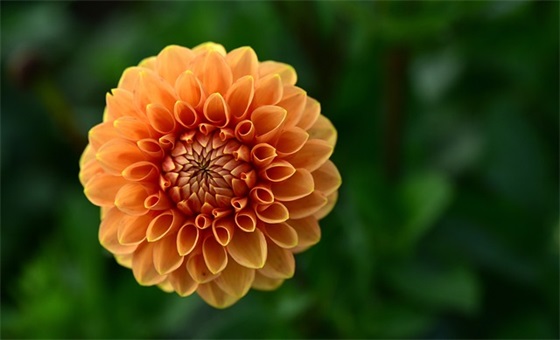 经典开业贺词大全