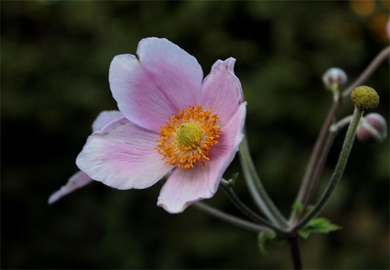 迎财神的吉祥话简短47句