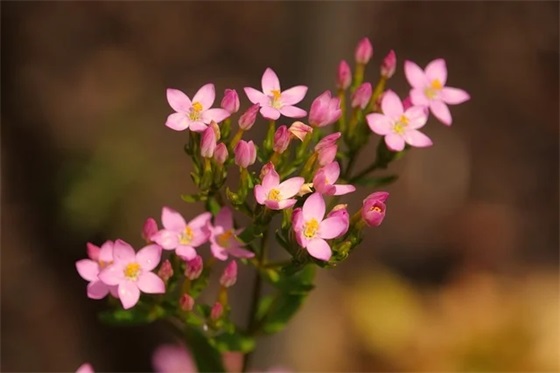 女友发早安怎么幽默的回信息57句