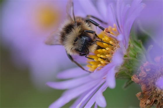 适合发表夏日的微风清爽的心情文案