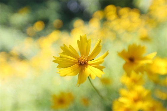 全网最新个性签名锦集(120条)