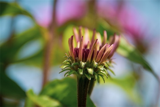 夫妻平淡幸福人生的文案集合57条