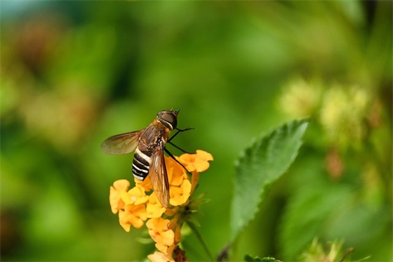 自己无能为力的文案(70句)