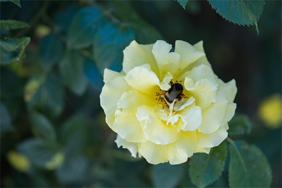 痛经吃什么食物好