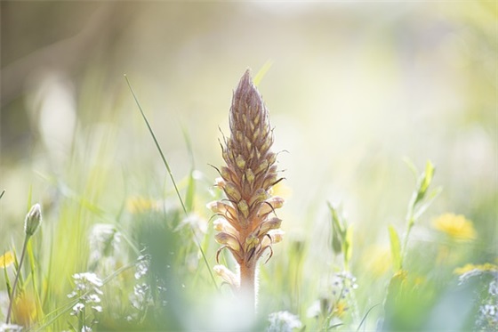 科学增高运动有哪些