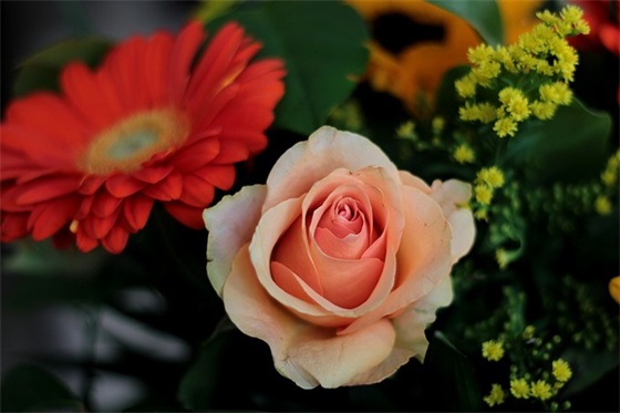 老师儿童节寄语 【100句精选】