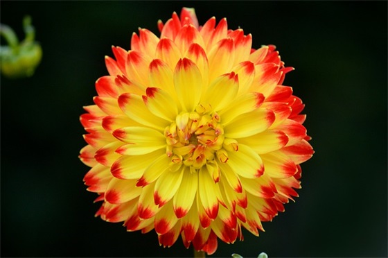 写给儿子的高考寄语 【送给儿子的高考寄语】