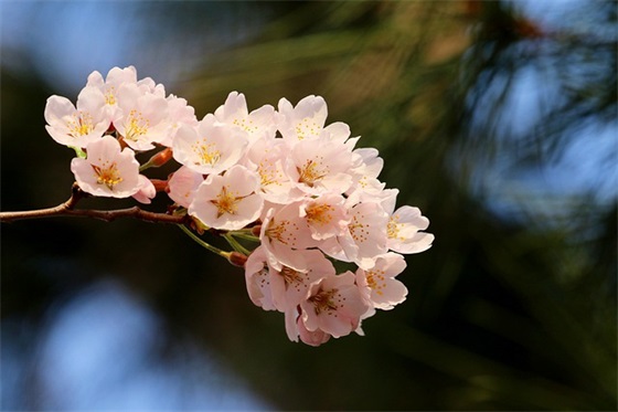 妈妈给高中女儿的寄语 【妈妈对高中儿子的寄语简短】