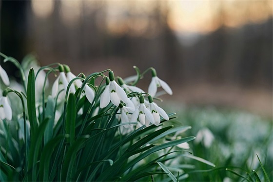 幼儿园大班毕业老师寄语100字 【幼儿大班毕业老师寄语短句】