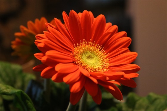 早安温暖的美好寄语 【早安温暖的美好寄语短句】