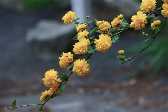 期末考试完家长对孩子的寄语 【期末考试之后家长的话】