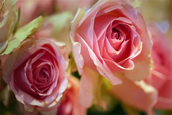 诚实守信家长寄语短句-100句