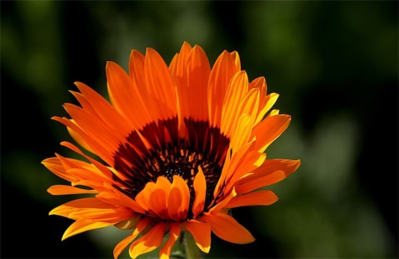 幼儿园暑假园长寄语简短的 【幼儿园暑假园长讲话】