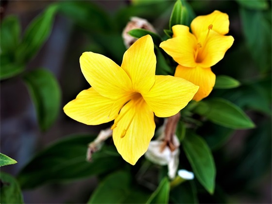 儿童的毕业寄语 【儿童毕业寄语给同学】