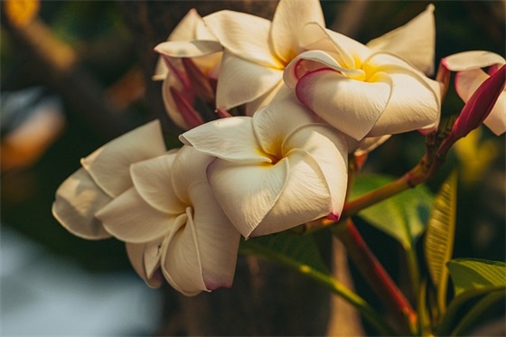 高一班主任寄语简短有内涵高中 【班主任寄语高一新生】