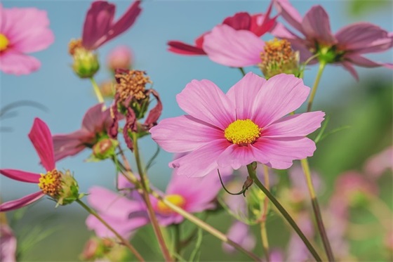 幼儿园的家长寄语 【幼儿园的家长寄语到底怎样写好】