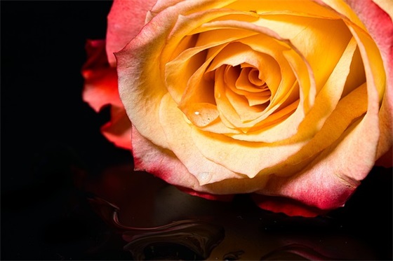 小学教师节寄语简短 【小学教师教师节祝福语】