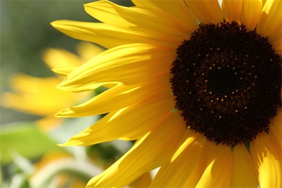 幼儿园大班的毕业寄语家长的话 【幼儿园大班毕业寄语家长寄语】