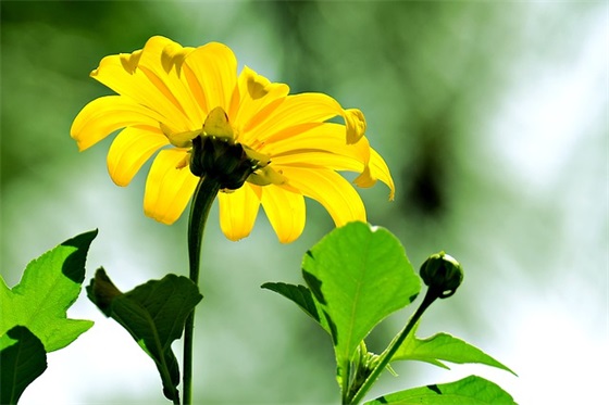 给小学生儿子的生日寄语 【写给小学生儿子的寄语】