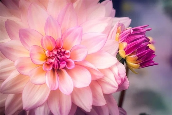 老师给毕业班寄语 【老师给全班的毕业寄语和期望】