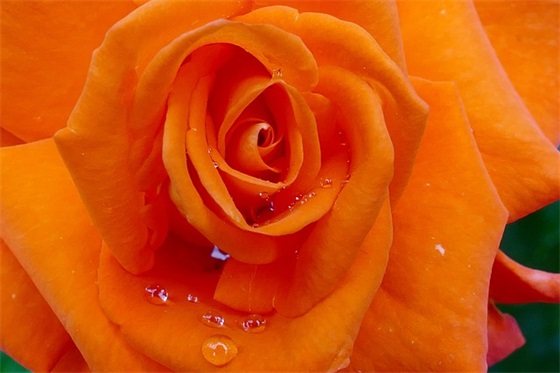 百天宝宝的寄语-100句