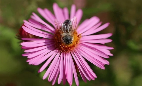 酒与友情的经典句子