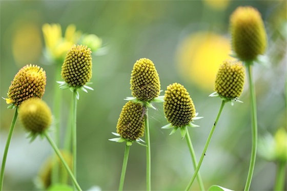 写给闺蜜的感动句子