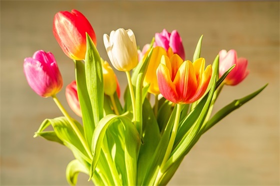 怀念哥哥去世的句子精选251句