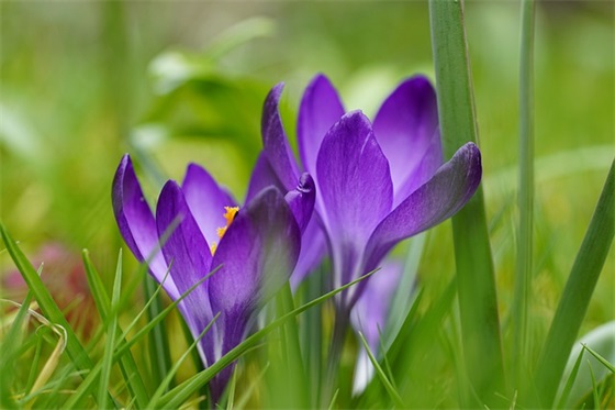 2岁孩子寄语 【两岁孩子寄语怎么写】