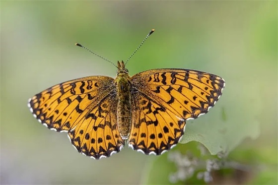 送给数学老师的毕业寄语 【送给数学老师的毕业寄语简短】